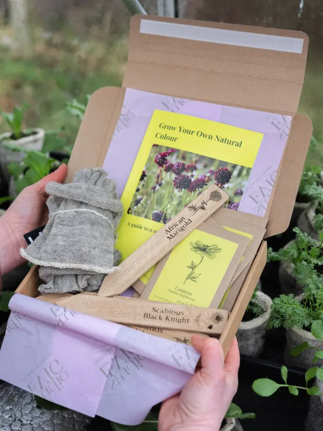 studioEVIG - Grow your own natural colour kit - everything you get