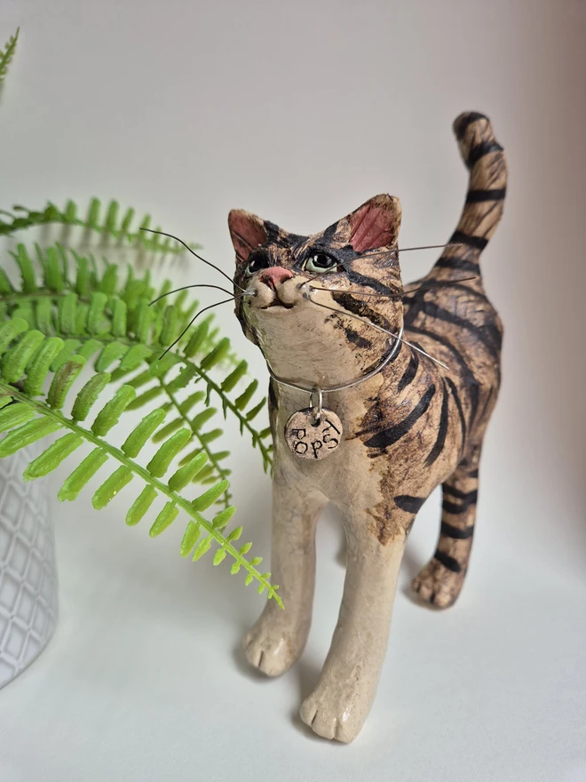 Popsy Brown and cream tabby cat