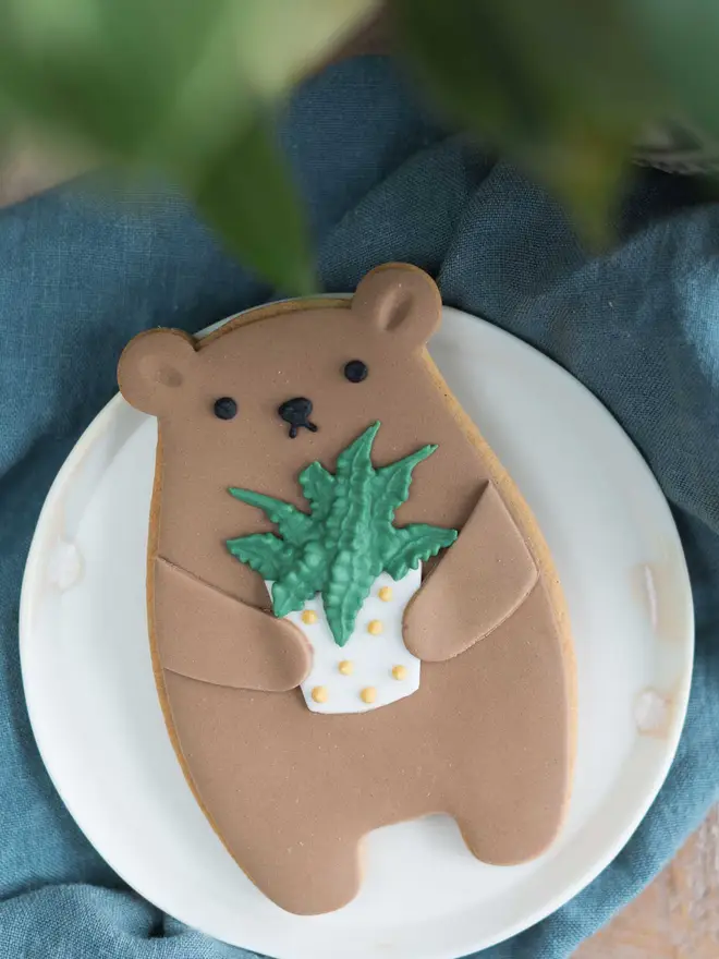 Plant Biscuit Bear