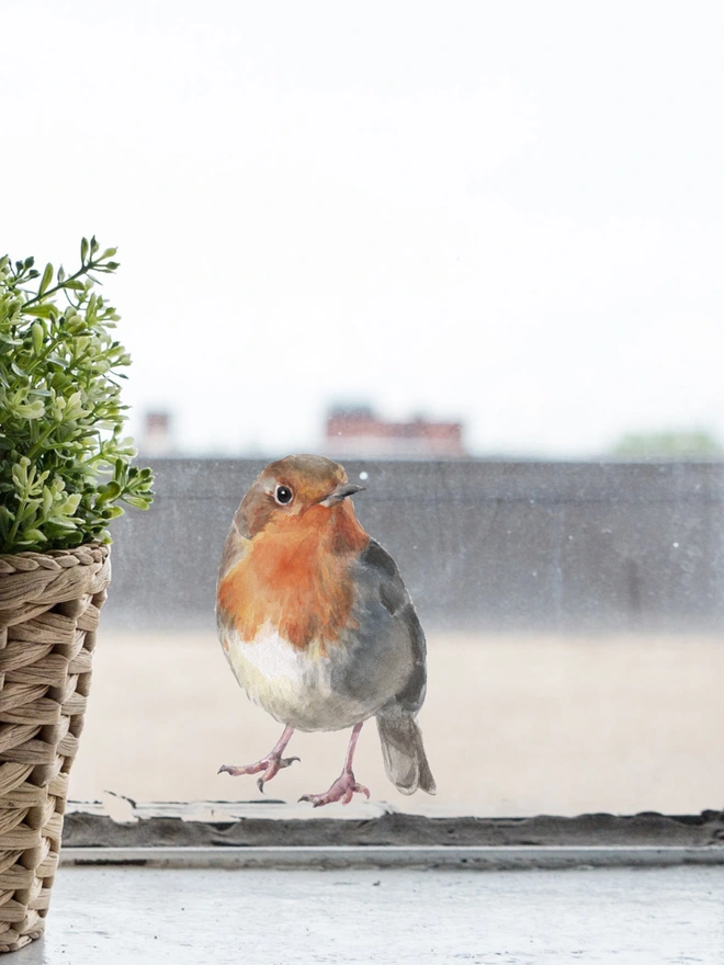 Robin wall and window sticker