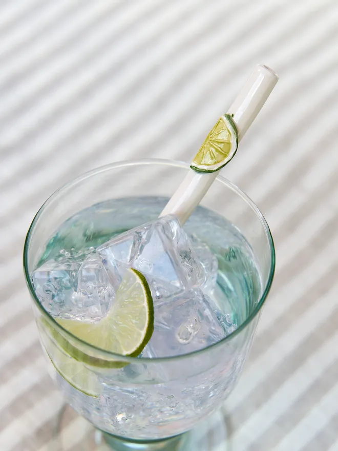 Citrus Ceramic Reusable Drinking Straws (Set Of 2 Or 3)