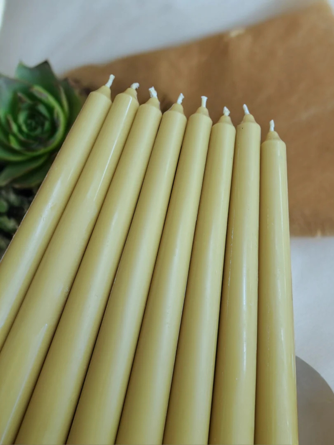 handmade beeswax taper candles