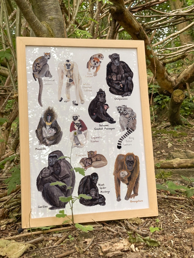 a print featuring illustrations of a variety of primate mothers with their babies