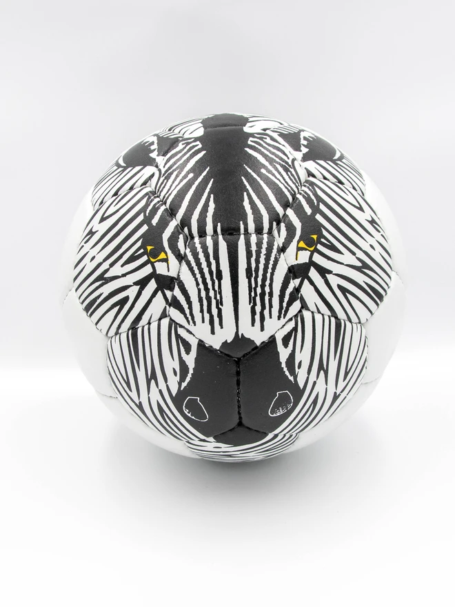 Zebra Football