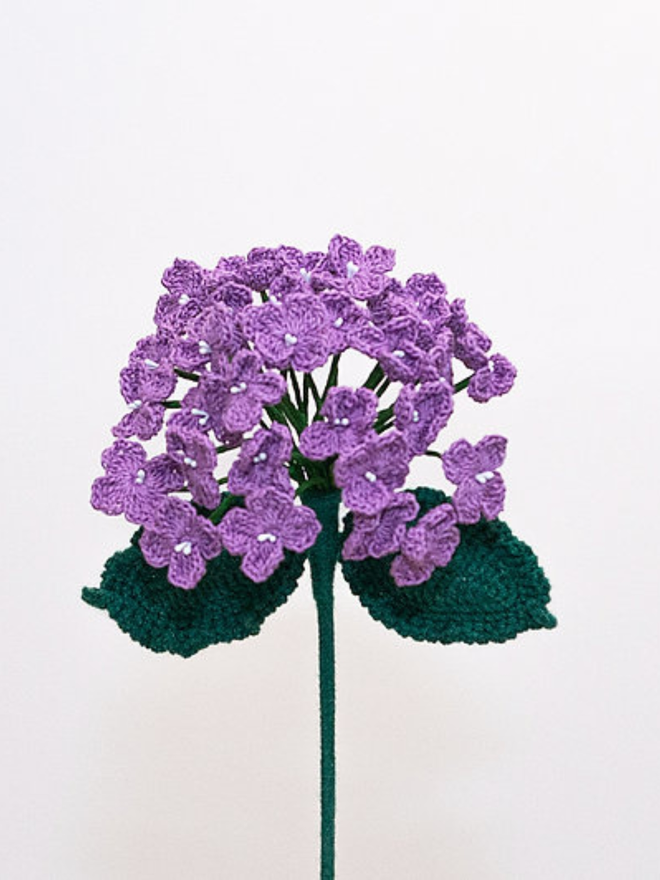 purple crochet hydrangea 