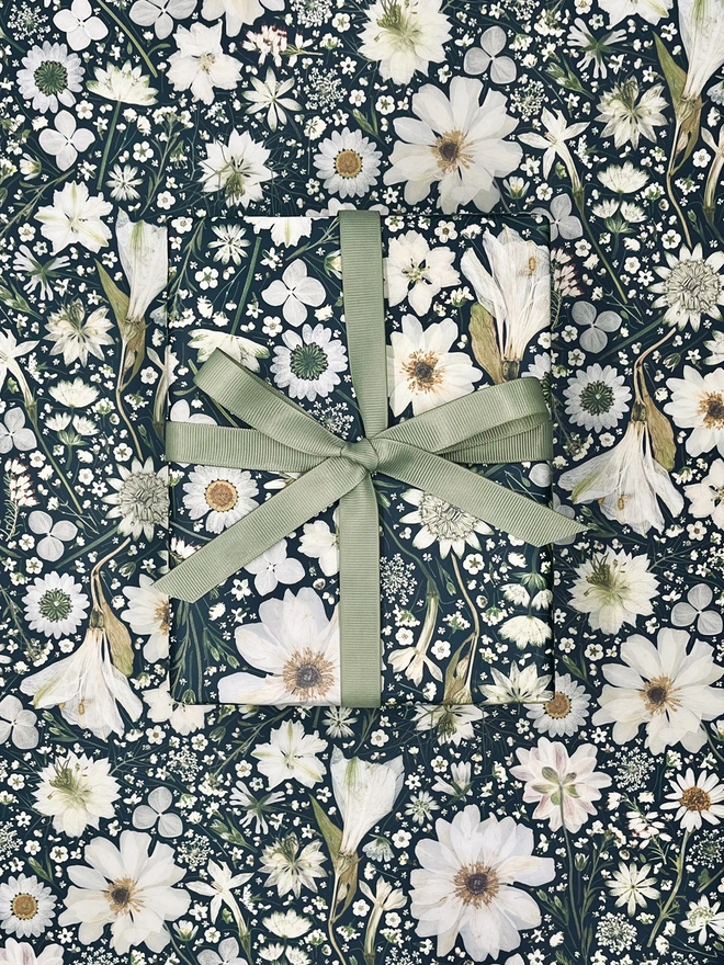 Beautiful wrapping paper created from pressed white flowers on a black background.