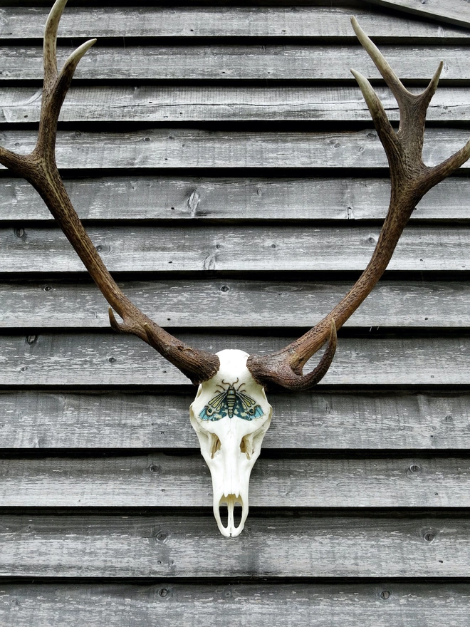 Intricate beaded deer skull