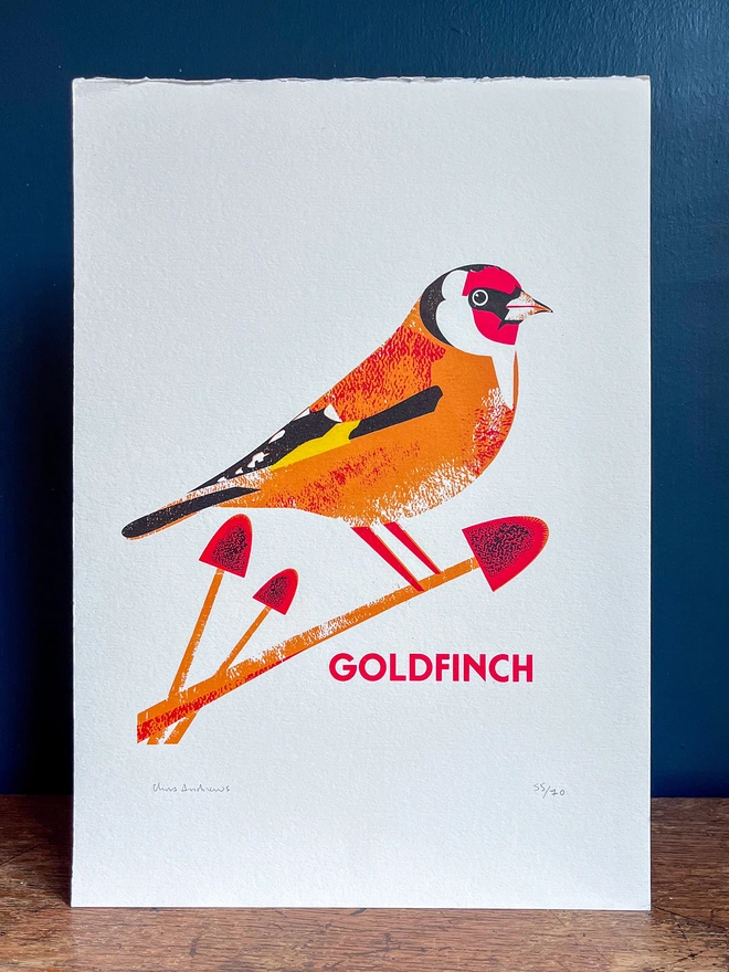 A screenprint of a Bullfinch bird on white paper against a navy blue background.