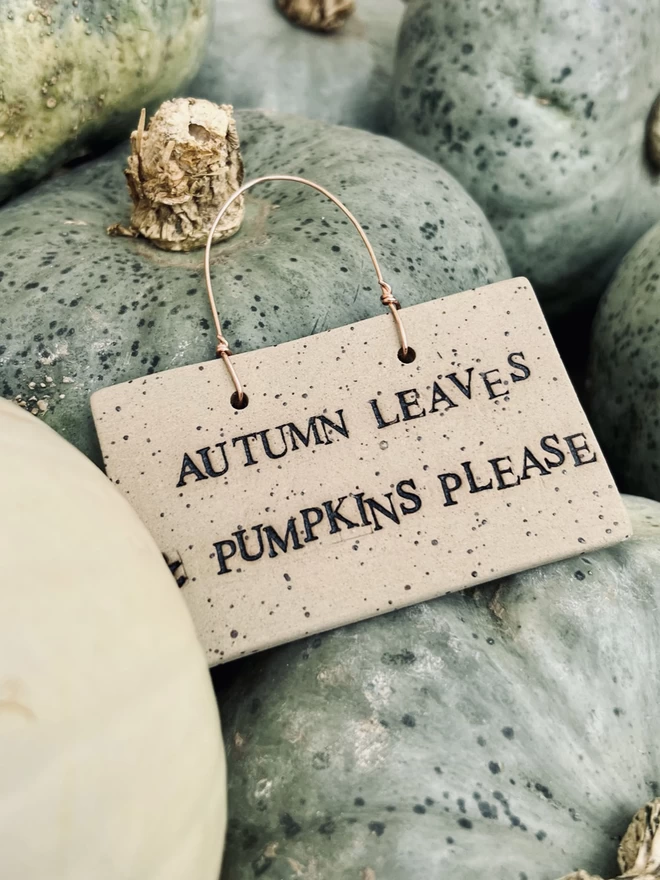 ceramic sign with autumn quote laid on a pile of green pumpkins