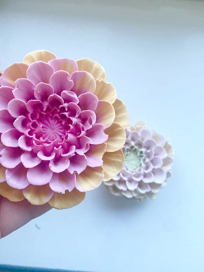 Springtime Wall Flowers