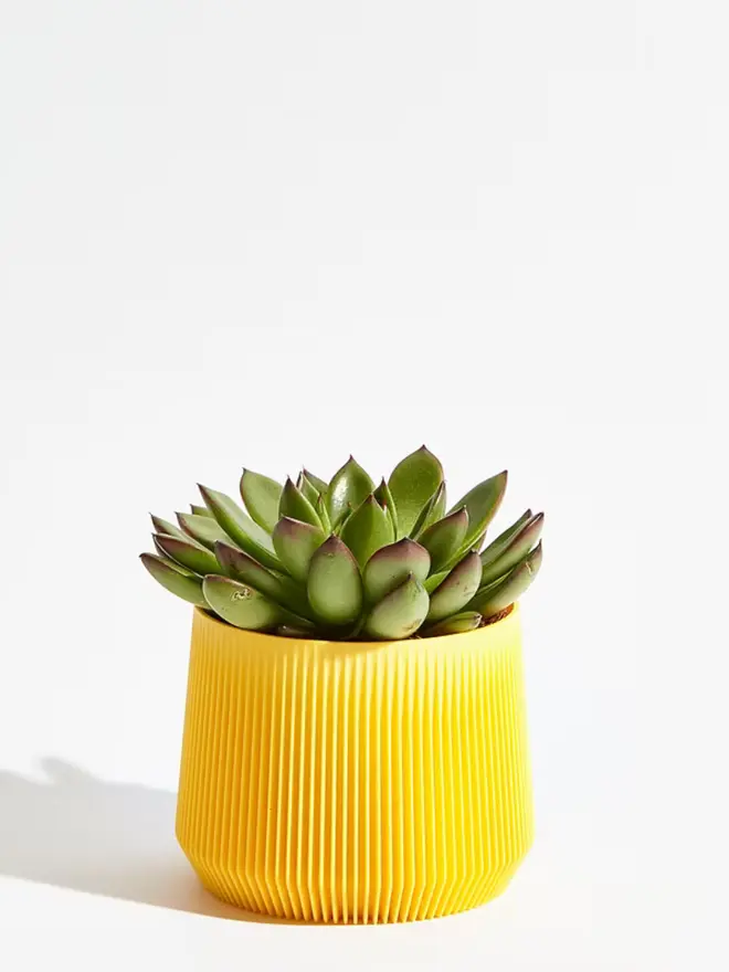 Sustainable 3D Printed Banana Yellow Plant Pot, pillar design, against a white background.