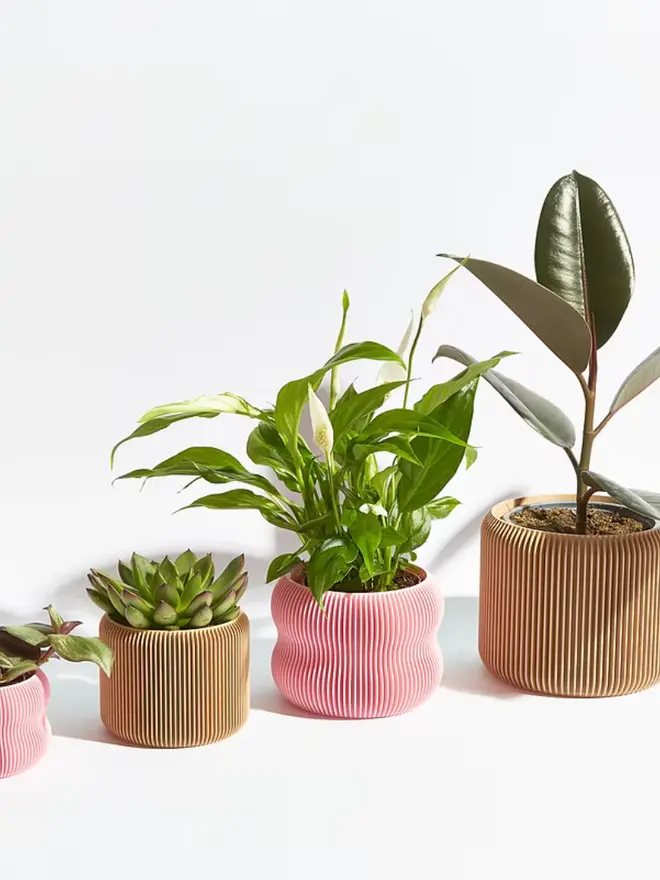 Sustainable 3D Printed Plant Pots lined up next to each other. 