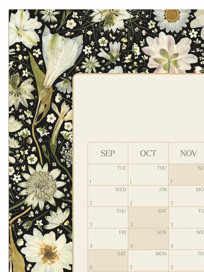 Close-up of a Botanical Academic Wall Planner for September 2026 - August 2027. The detailed 1floral design features pressed white flowers, bringing nature indoors. Perfect annual planner for organising, scheduling, and gifting to plant and garden lovers.