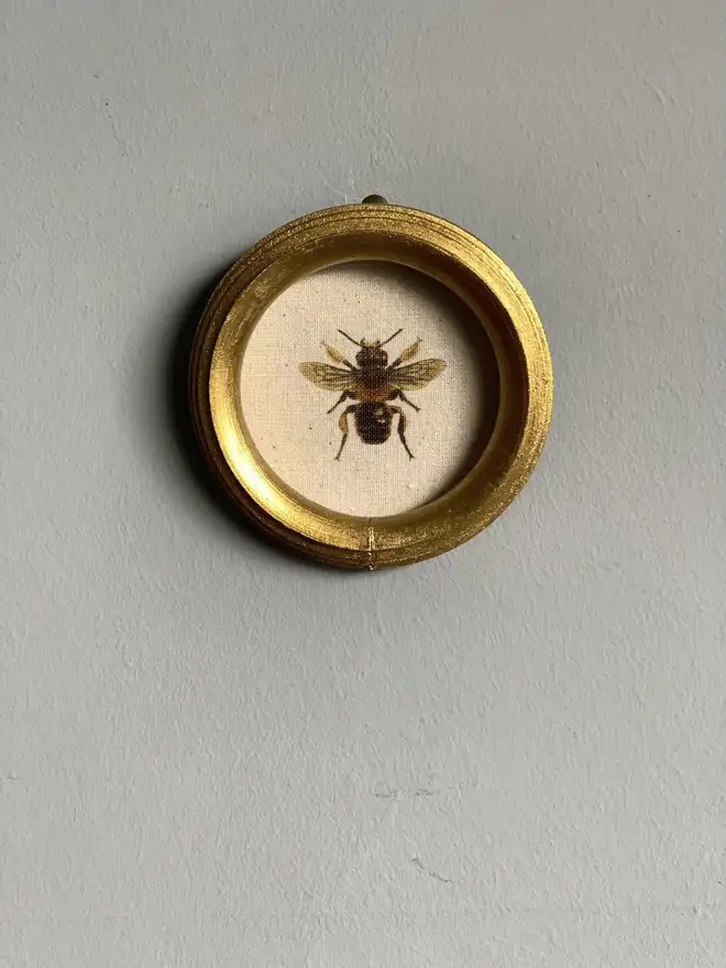 Gold framed miniature bee print