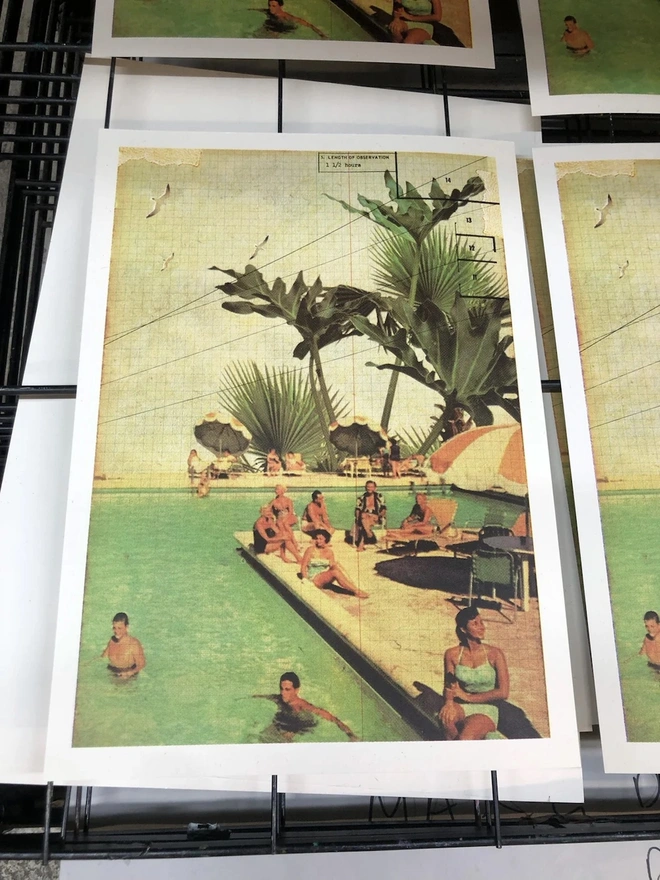Tropical Swim A3 Edition Screenprint