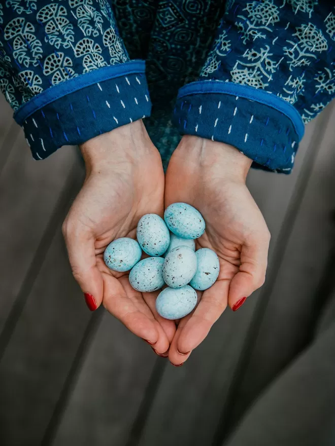 Song Thrush chocolate eggs seen in someones hands, wearing a blue jacket.