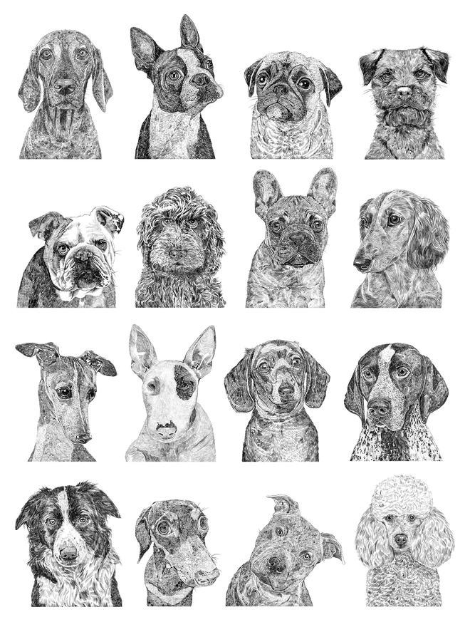 Selection of other dog breeds available in the collection