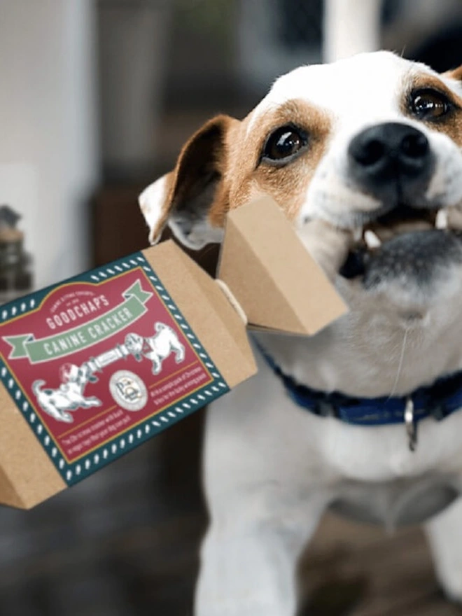 Canine Christmas Cracker