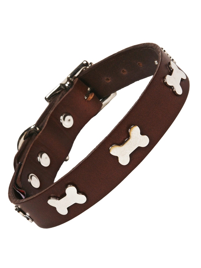 Creature Clothes Chocolate Leather Dog Collar with Silver Bone Studs