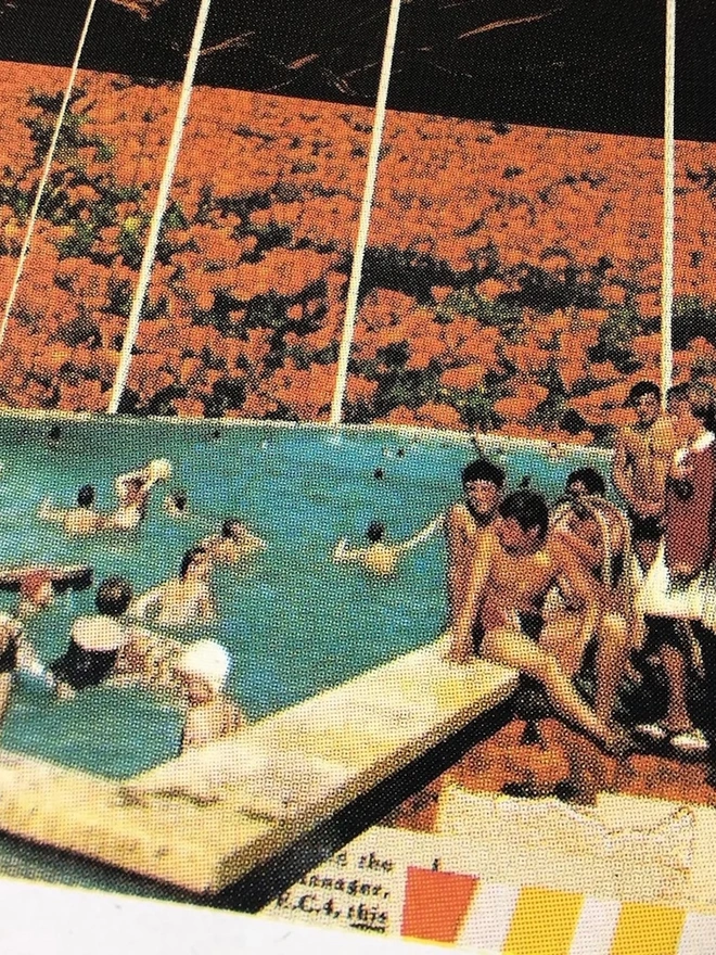 Red Valley Swim Screenprint