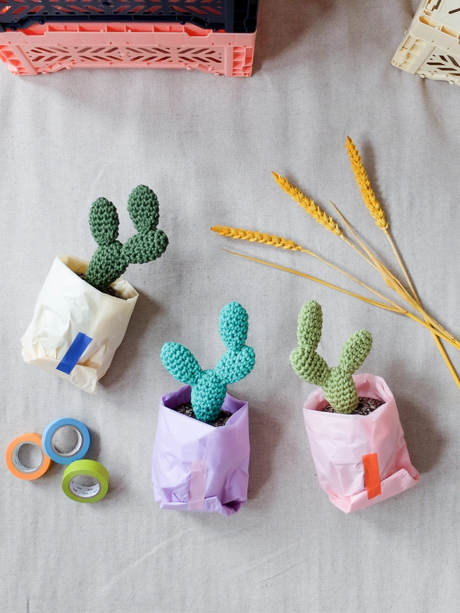 Crocheted cacti wrapped in colourful tissue paper