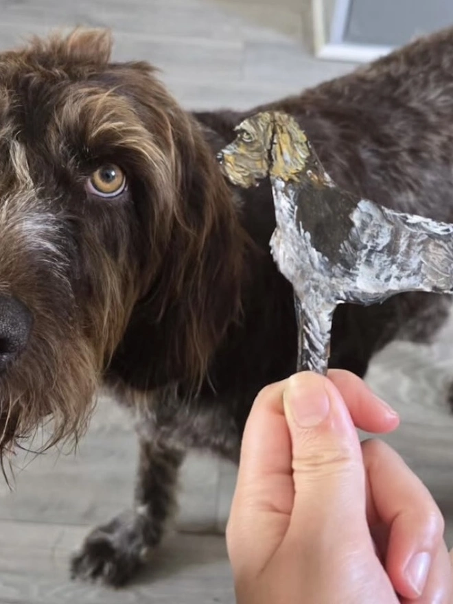 German Wirehaired Pointer Decoration next to a Wirehaired Pointer dog