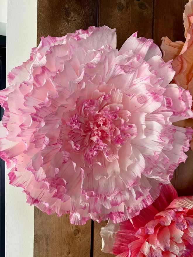 Crepe wall paper flowers