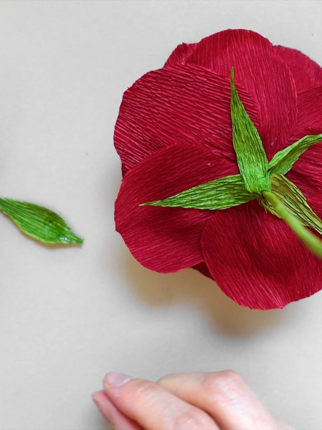 Crepe Paper Falstaff Rose DIY Kit