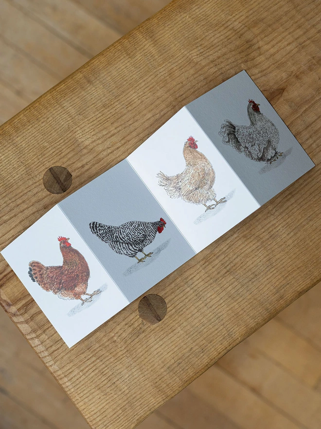 Watercolour chicken concertina card