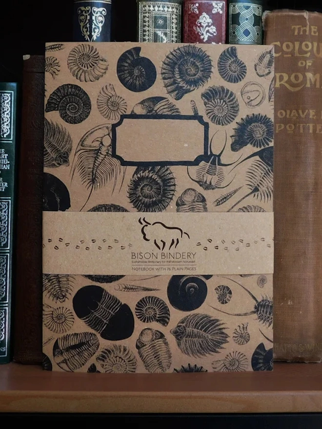 Ammonoidea Print Sketchbook