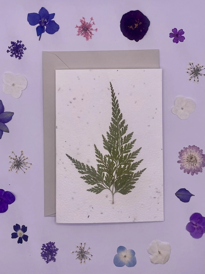 Real Pressed Flower Plantable Card, Fern