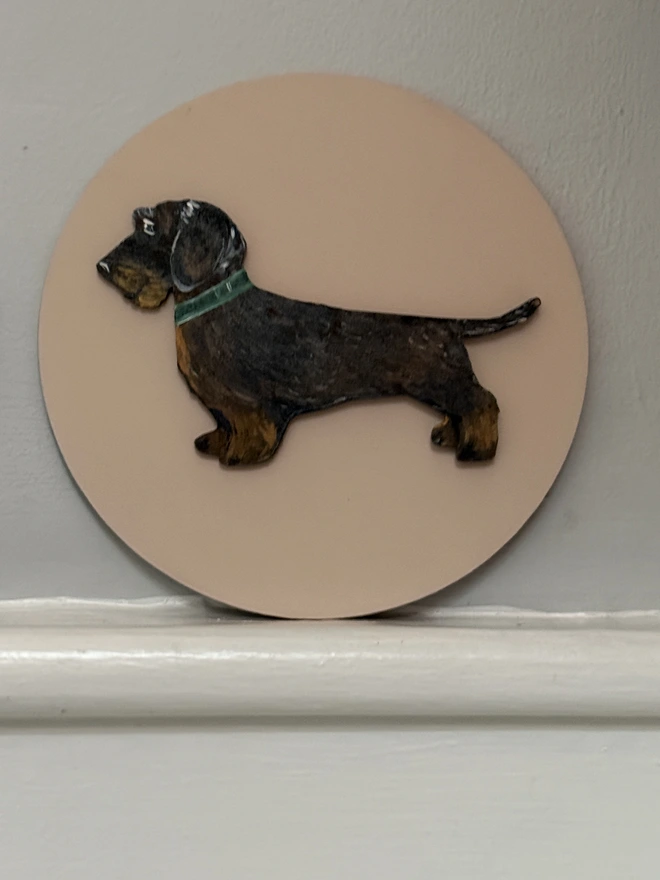 Wire Haired Dachshund painting on blush circular painted background