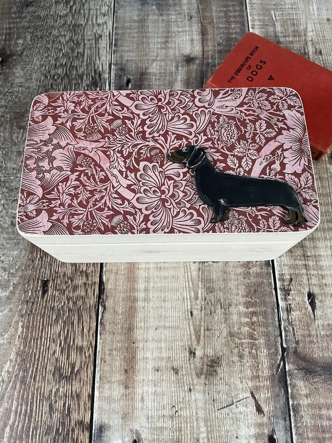 A dachshund keepsake box with a smooth- haired dachshund