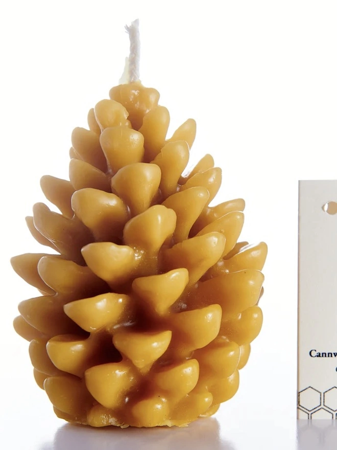 100% Pure Beeswax Pine Cone Candle