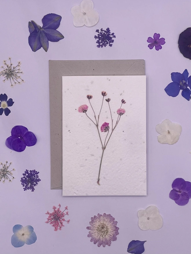 Real Pressed Flower Plantable Notecard, Pink Gypsophila