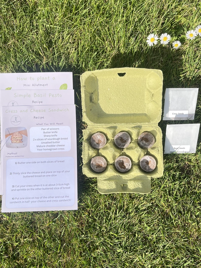 Layout of Start A Mini Allotment Kit which shows whats included such as instructions and materials on grass