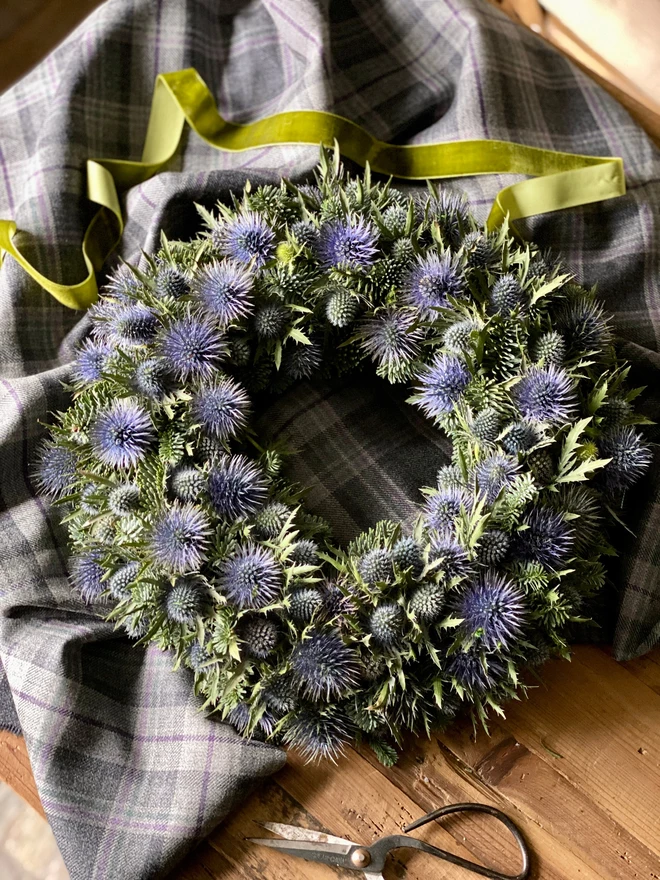 Christmas Foliage and Fresh Eryngium Thistle Wreath