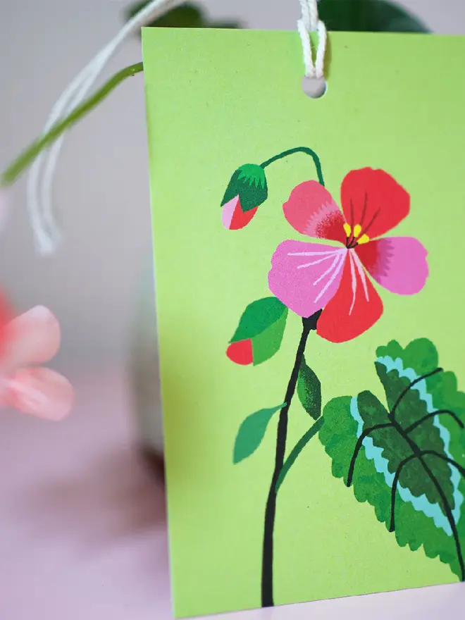 illustrated geranium gift tags