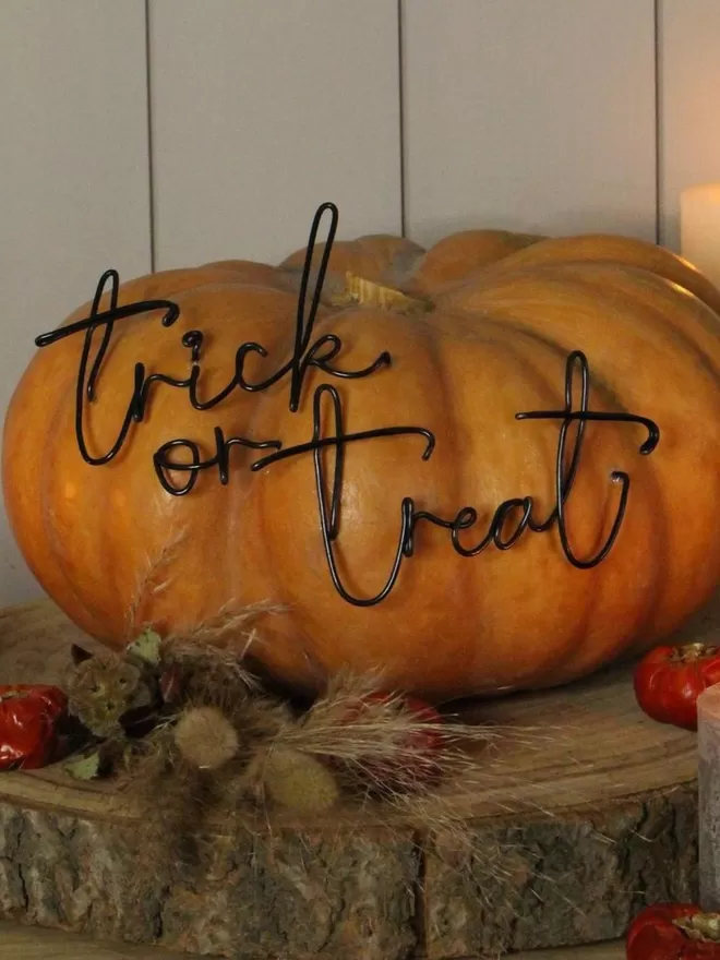 Trick or treat halloween sign on an orange pumpkin