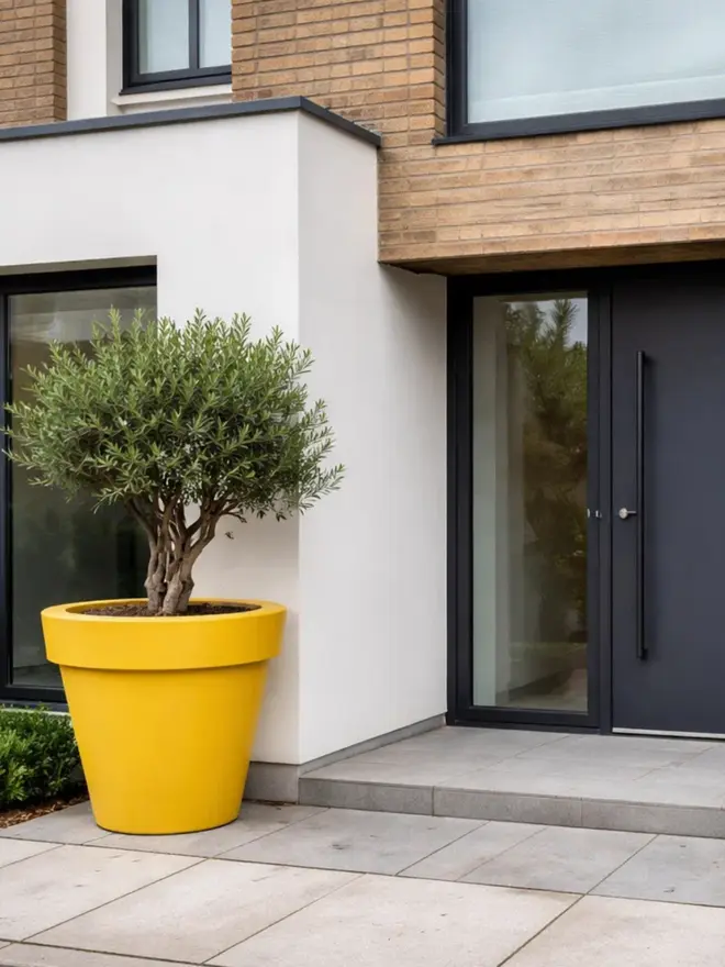 The yellow Biggie adds a burst of energy through its oversized curved silhouette and generous planting capacity. Ideal for colourful landscapes, retail environments and creative outdoor spaces, it instantly lifts the mood of any setting. Durable, lightweight and frost-resistant, it’s practical as well as visually impactful.
