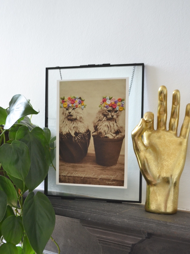 B&W photo print of 2 kittens in flower pot with coloured embroidered flower crown in frame on shelf