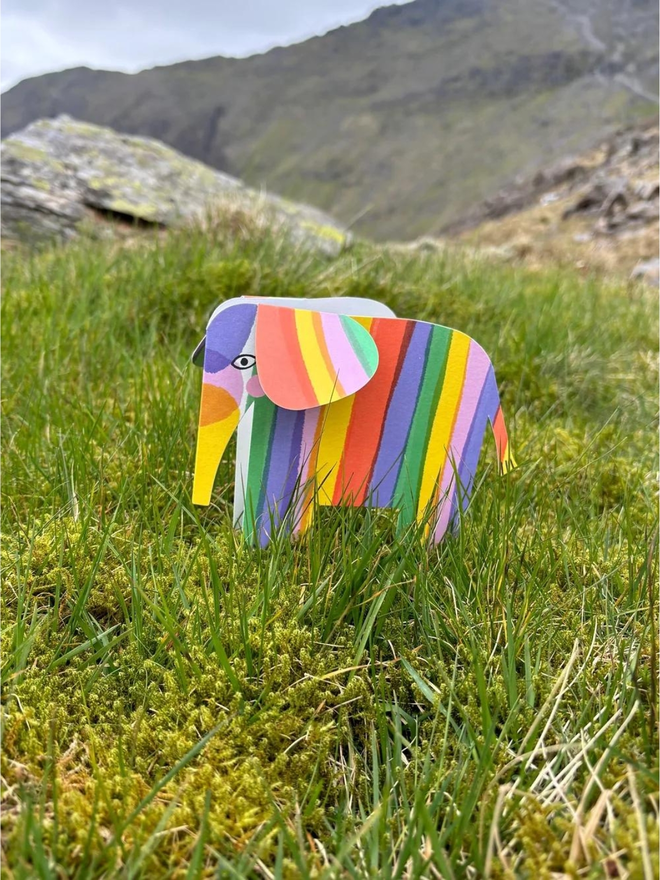 rainbow elephant fold out card