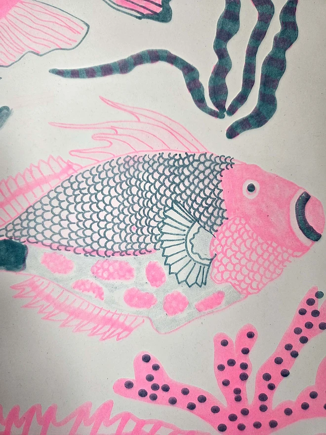 close up pink and blue risograph print of 3 fish and seaweed