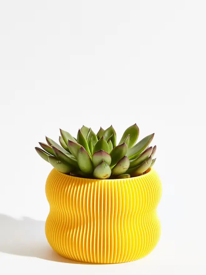 Sustainable 3D Printed Banana Yellow Plant Pot, bubble design, against a white background.