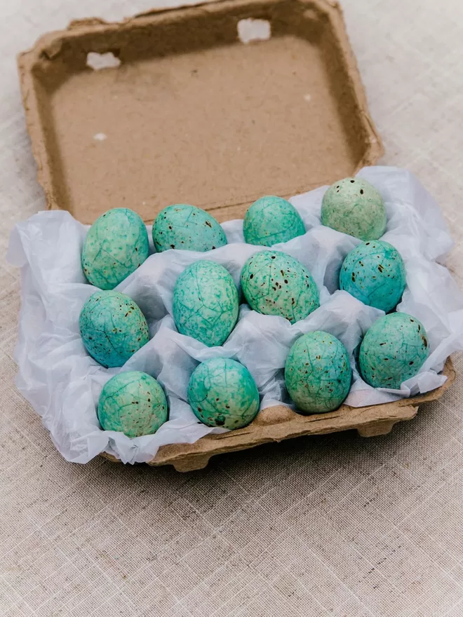 Open box of the Blackbird eggs.