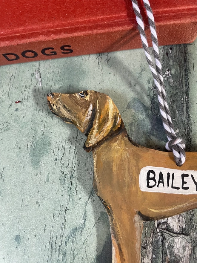 Close up of the hungarian vizla's face, personalised with the name " Bailey" 