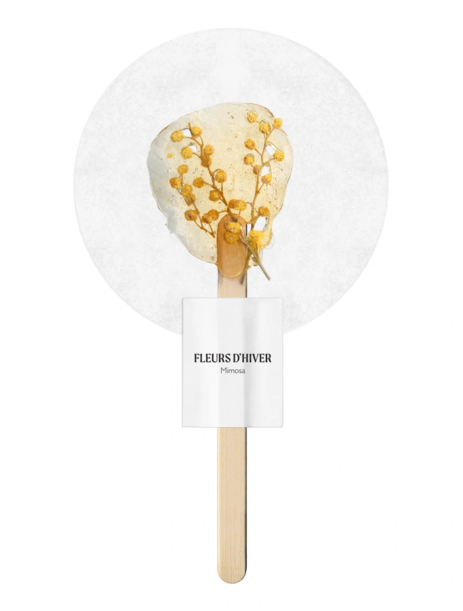 Fleurs-d-hiver-mimosa tea on a stick