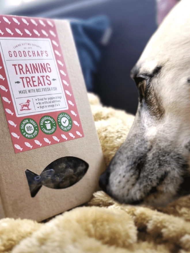 Training Treats Value Pack