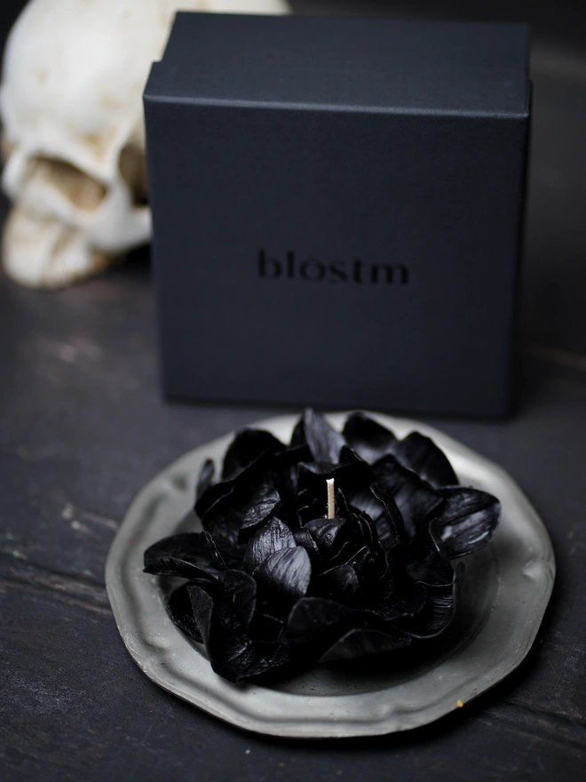 The Corvus Bloom - Collector's Edition