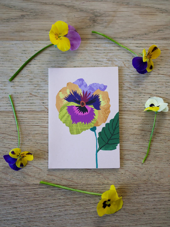 illustrated pansy mini card
